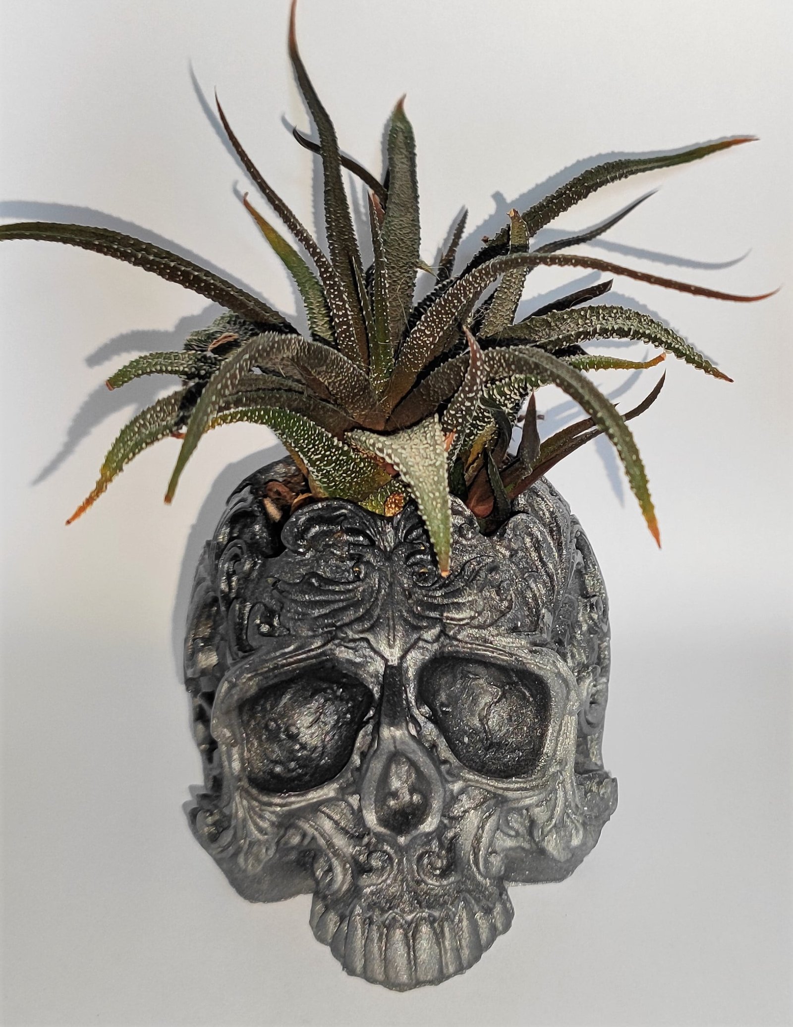 Crane skull pot pour plante résine époxy gris