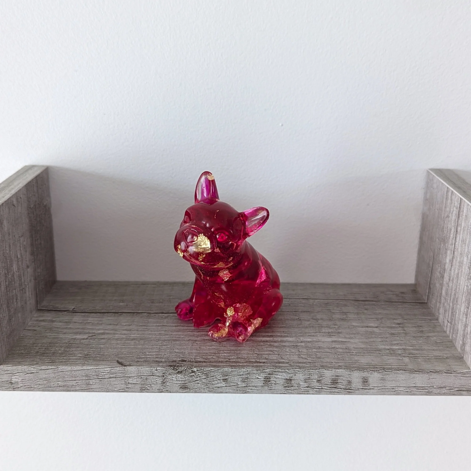 Gus Bouledogue fuchsia 2