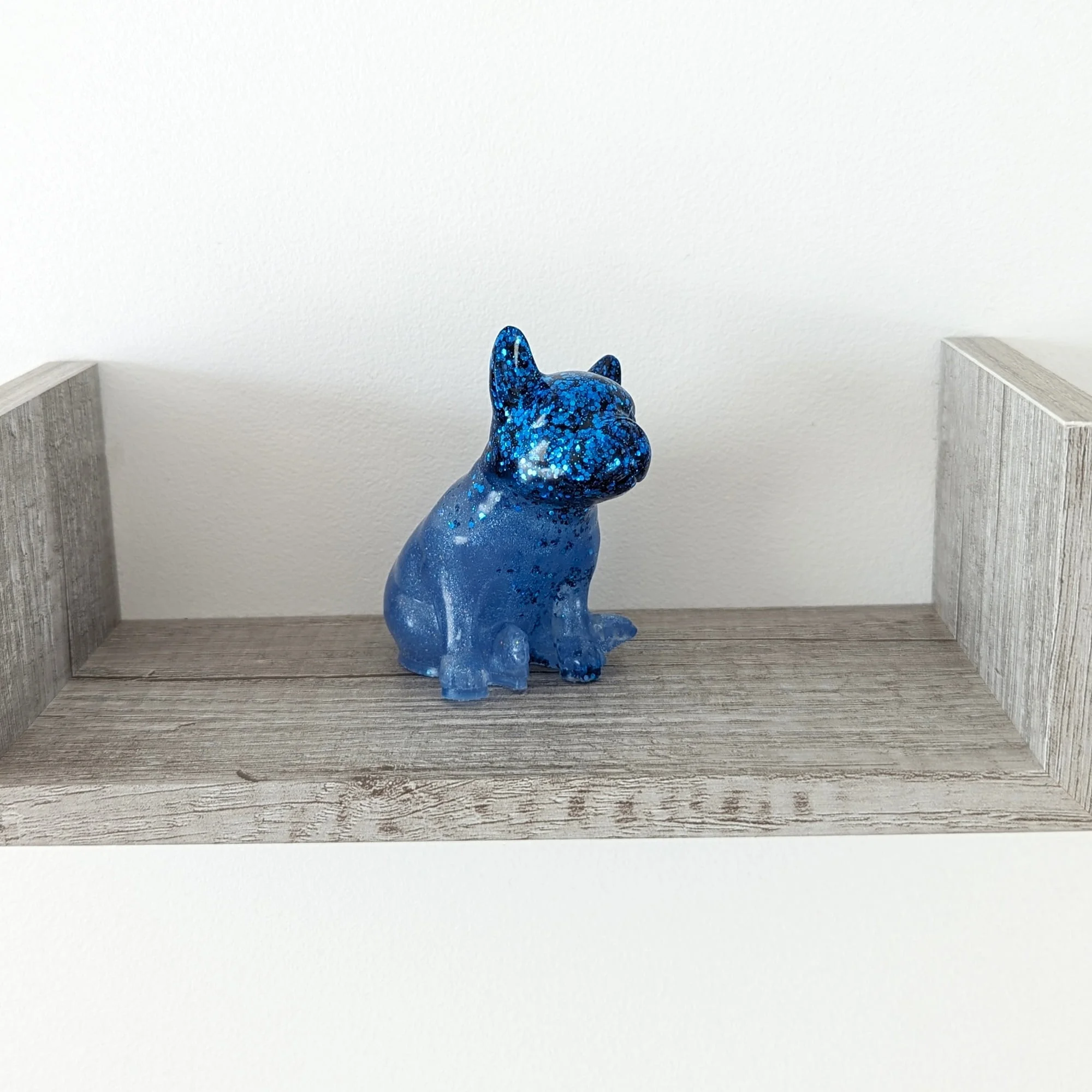 Gus Bouledogue bleu pailleté 1
