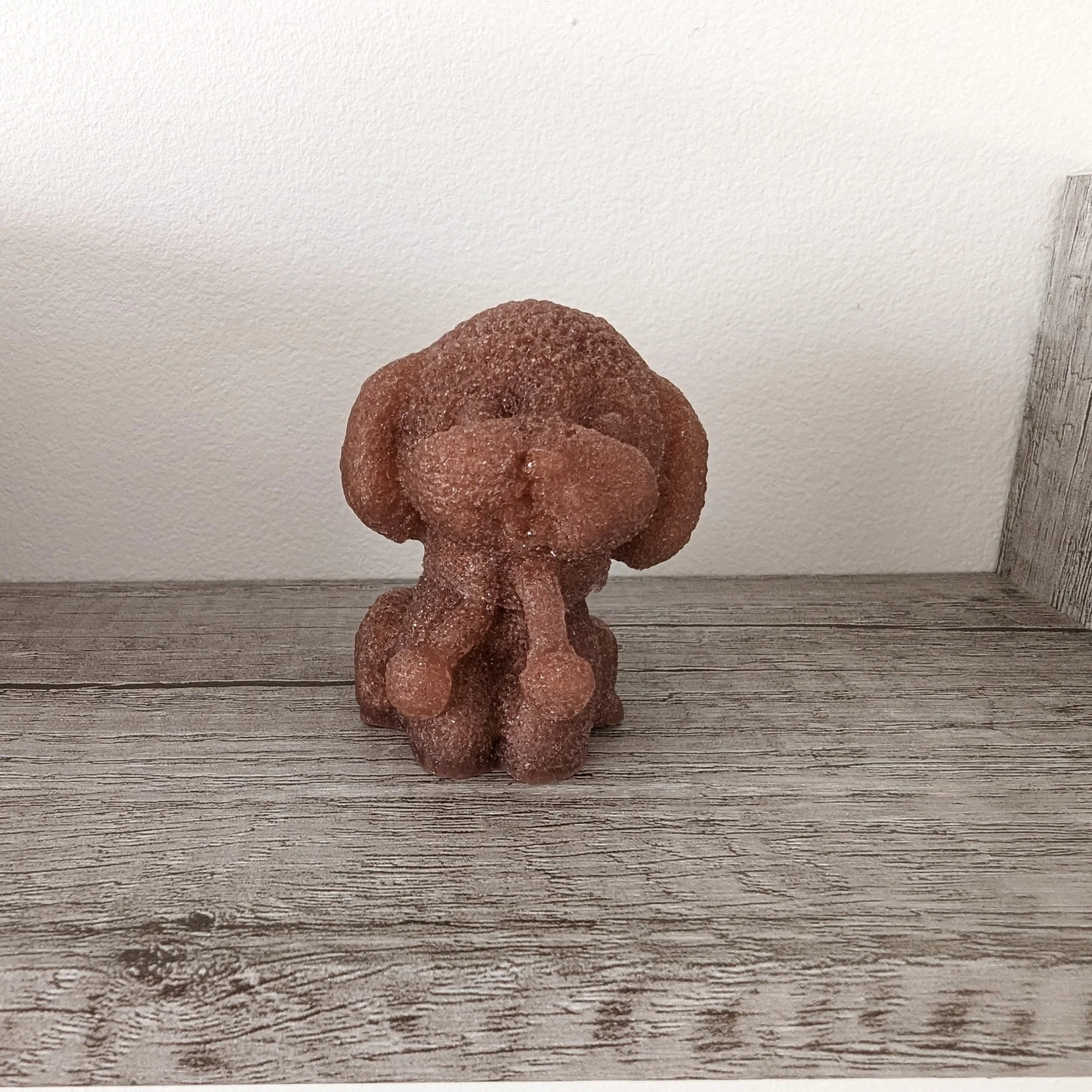 Chien marron 1