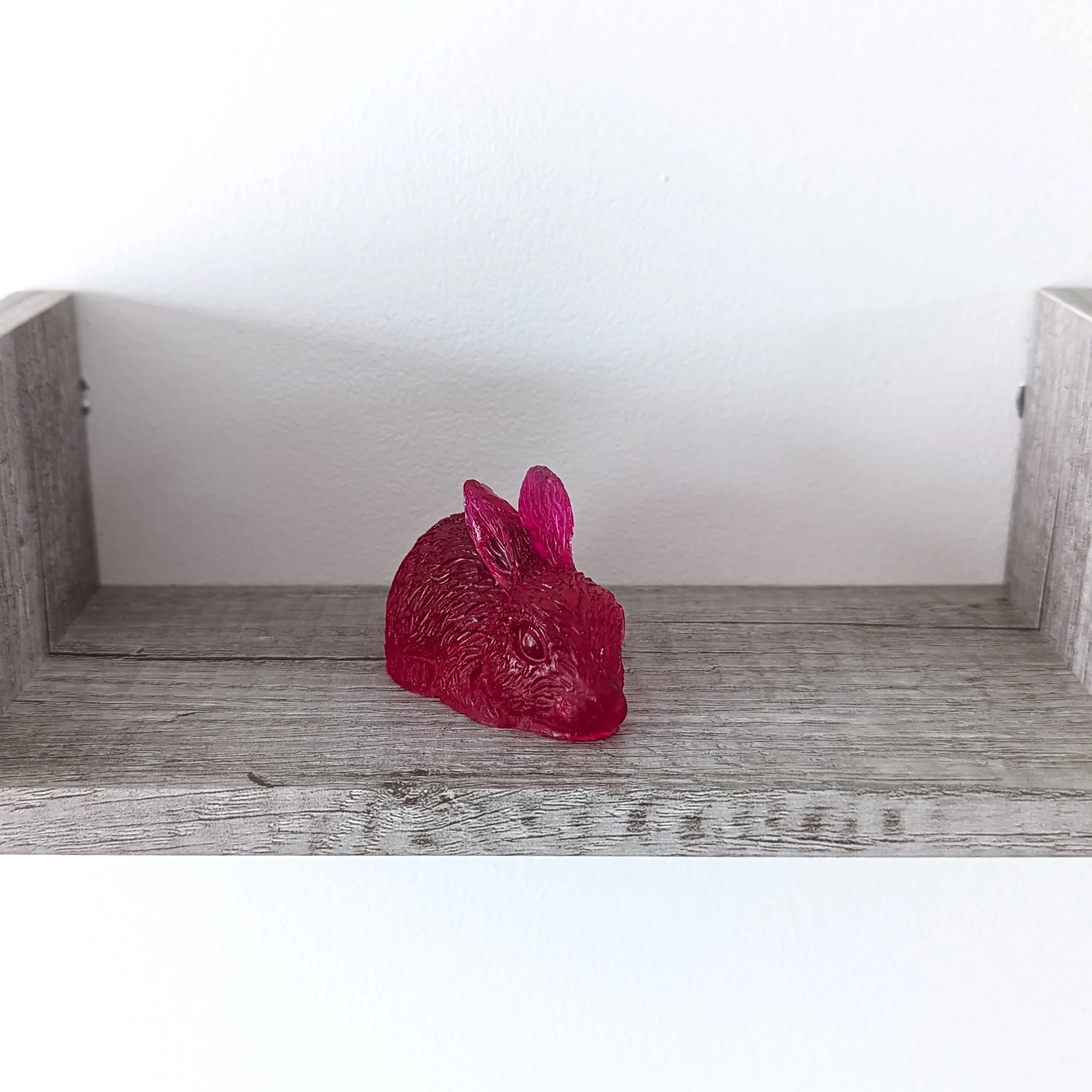 Lapin fuschia 1