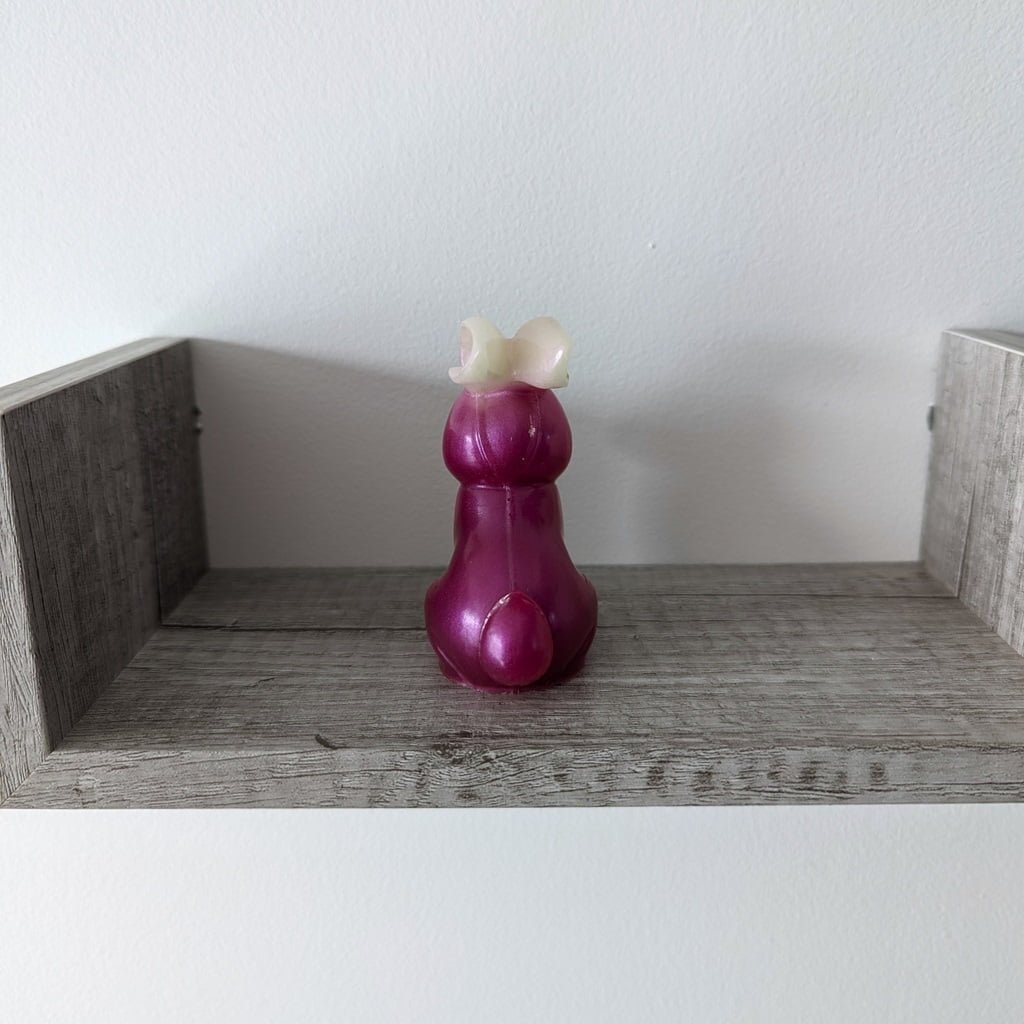 Lapin fuchsia et blanc dos