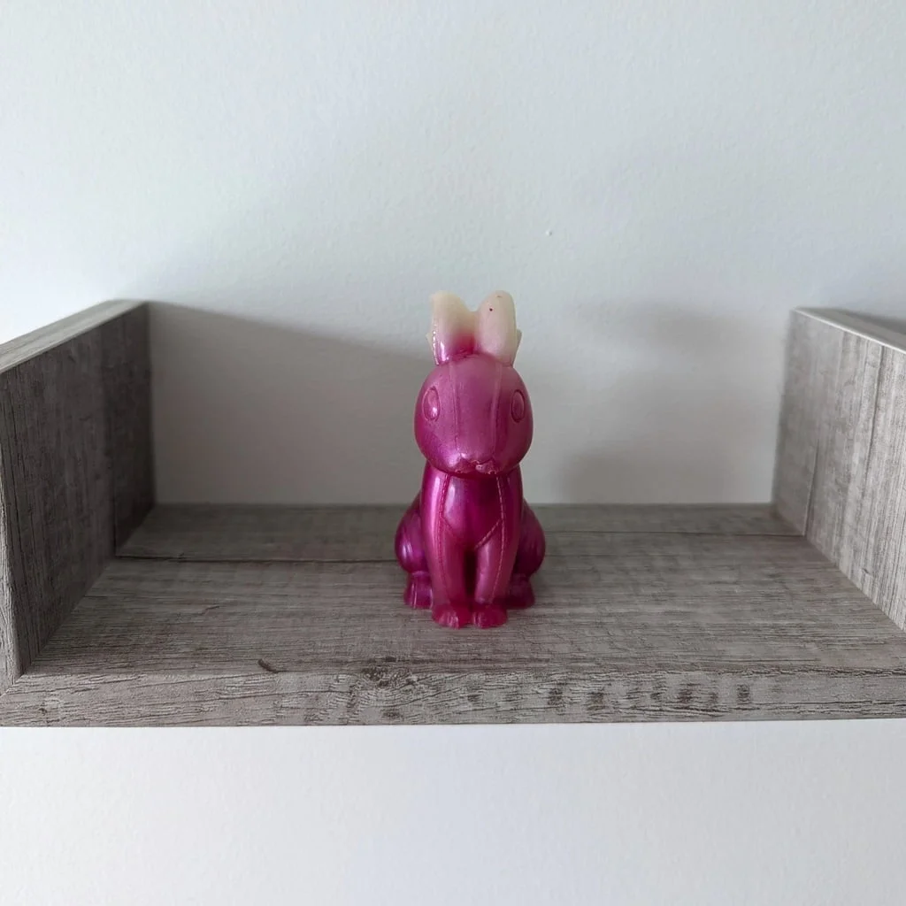 Lapin fuchsia et blanc face