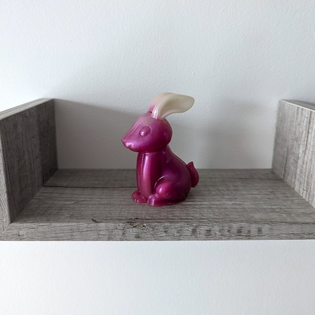 Lapin fuchsia et blanc profil